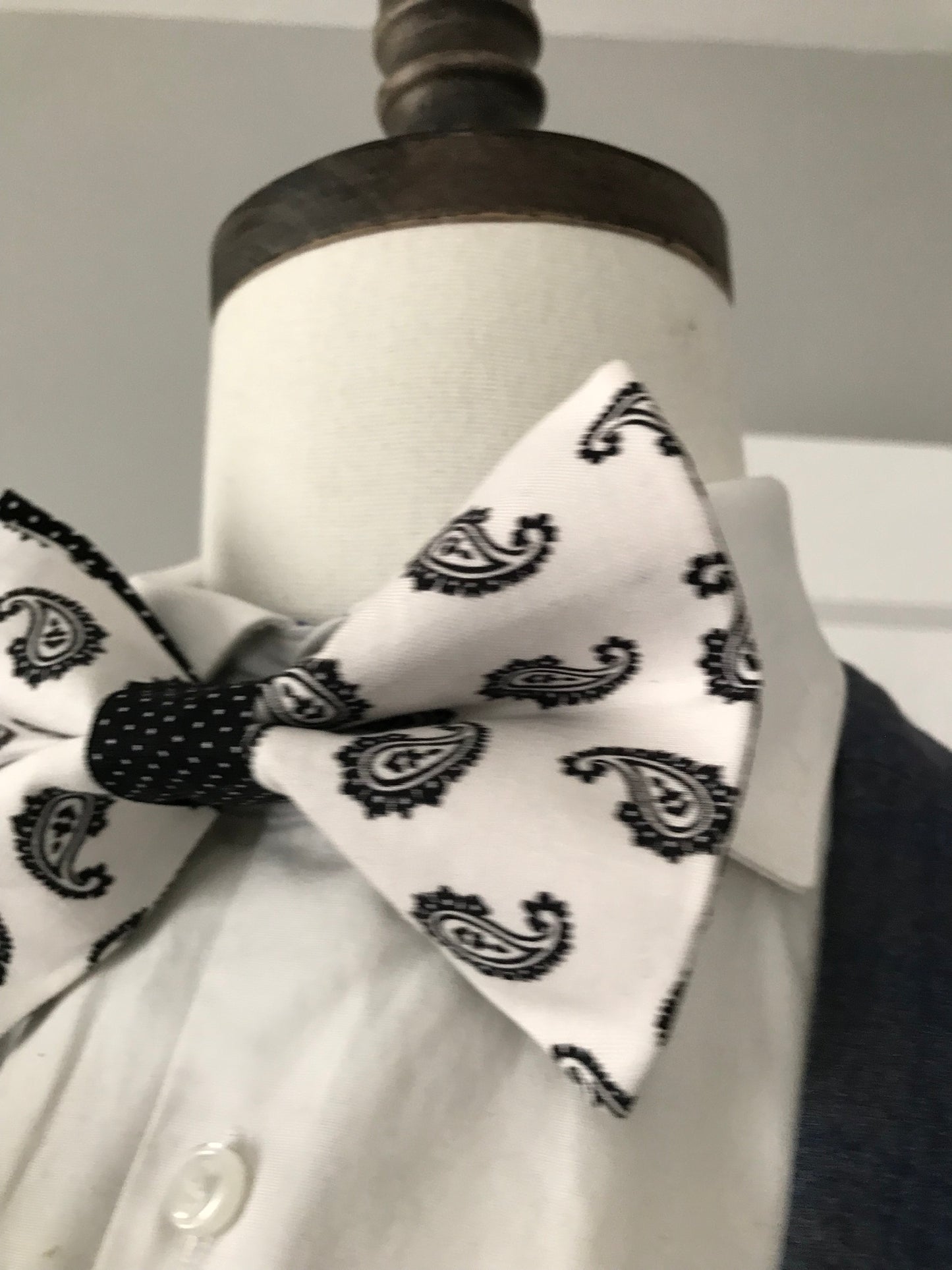 Paisley print prettied Bowtie