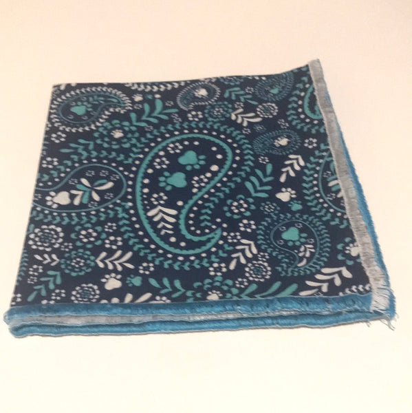Light green and teal paisley print Tie set